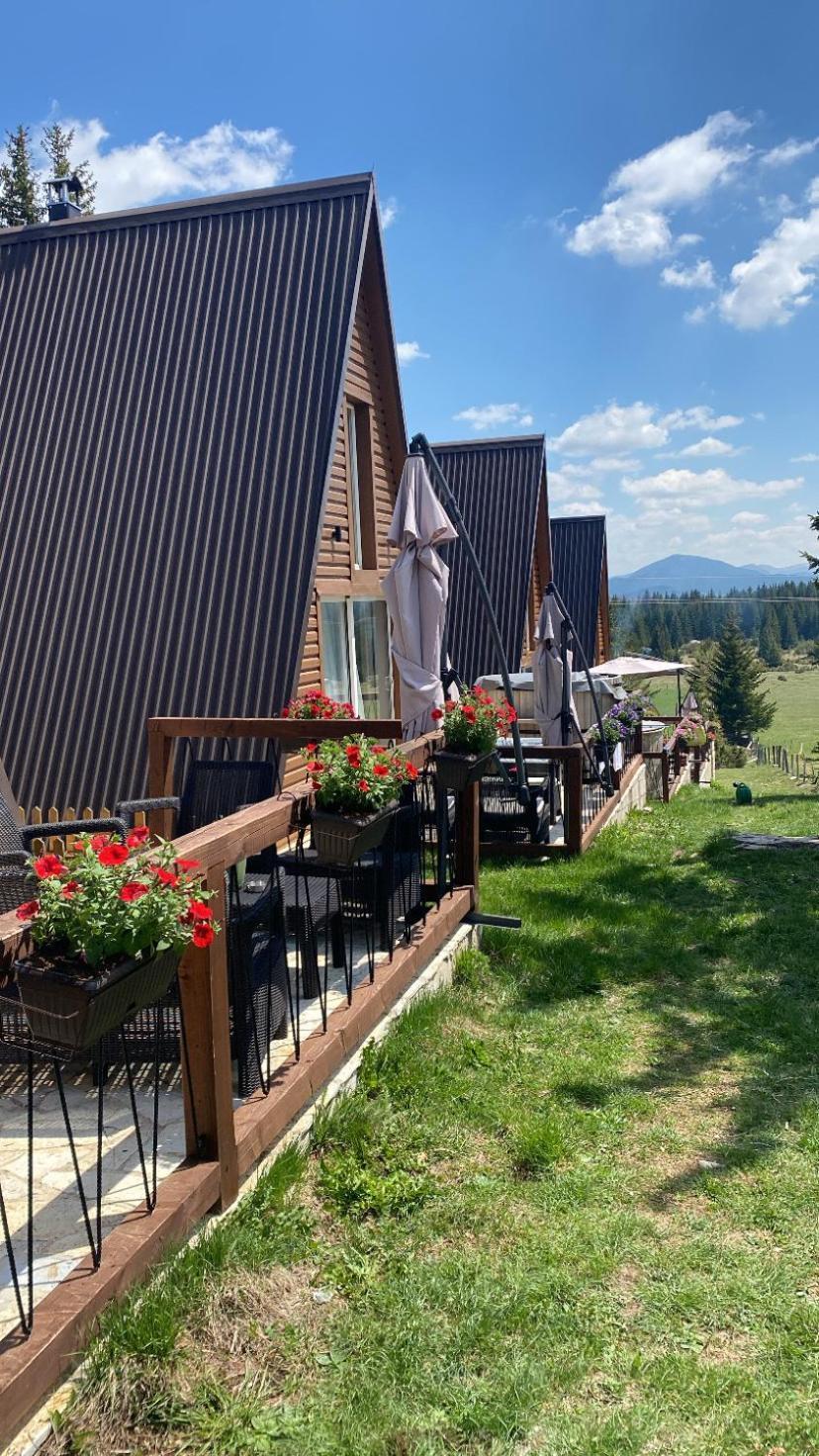 Woodmood Villa Zabljak  Luaran gambar